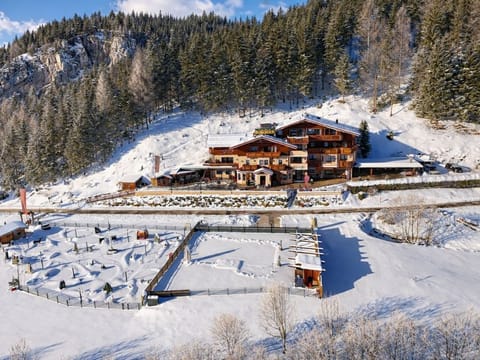 Classic Double Room + - Castle View, Hotel Restaurant House in Salzburgerland