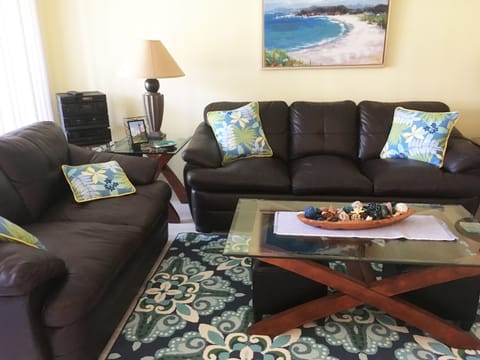 Our Bright Living Room !