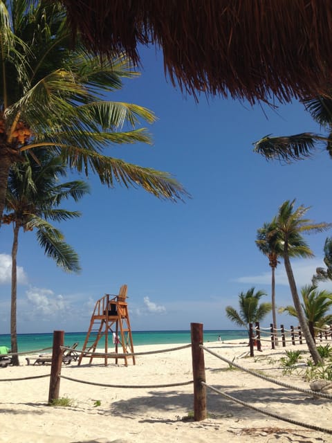 Our beach is waiting for you!