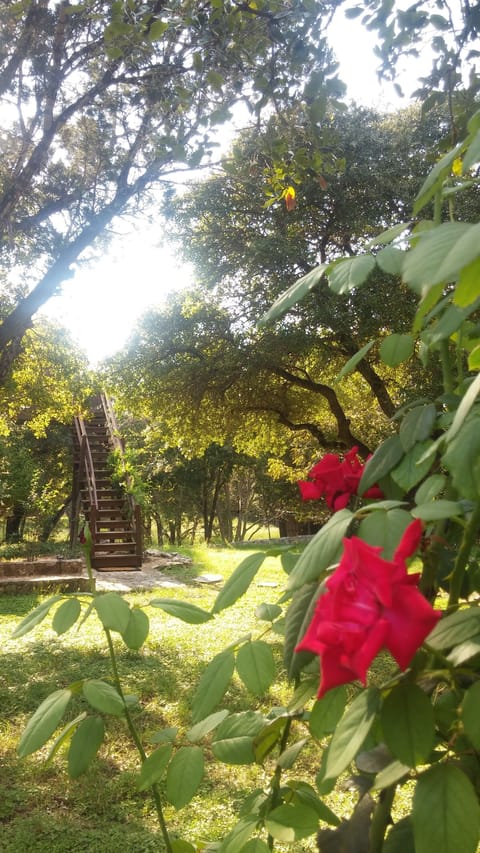 Stairway to the loft. Feel free to pick any flower for you loved one.
