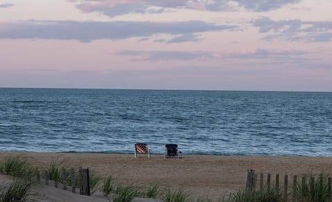 My Backyard