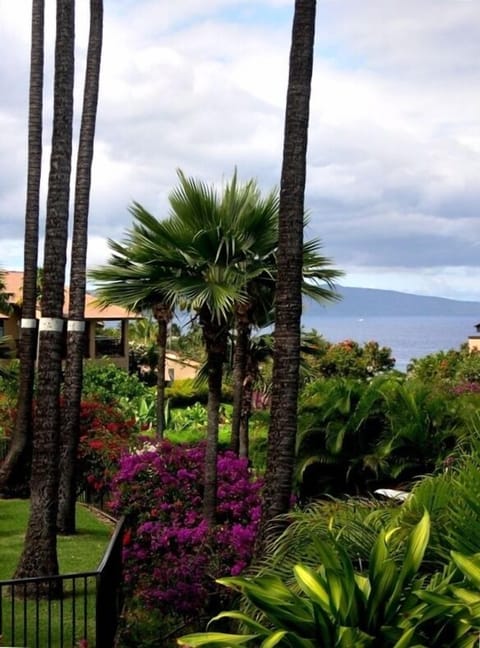 Ocean & garden view from lanai & kitchen
