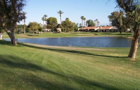 View of 14th Green