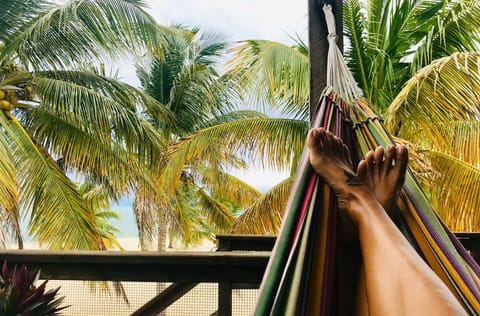 One of three hammocks  to read a book and listen to the ocean and birds.