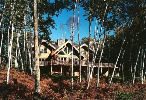 Beatiful tall birch trees encircle the home.
