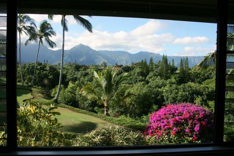 Spectacular mountain/jungle/waterfall view from dining rm, kitchen & master brdm