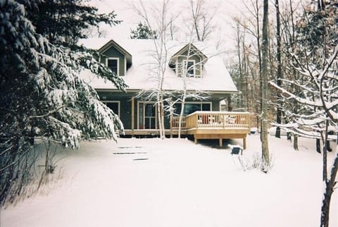 Winter is Beautiful in the Woods at the Cottage