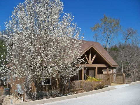 Lodge 78B is one of the secluded vacation rentals in branson very near the lake
