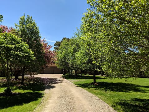 Tree lined driveway and front yard