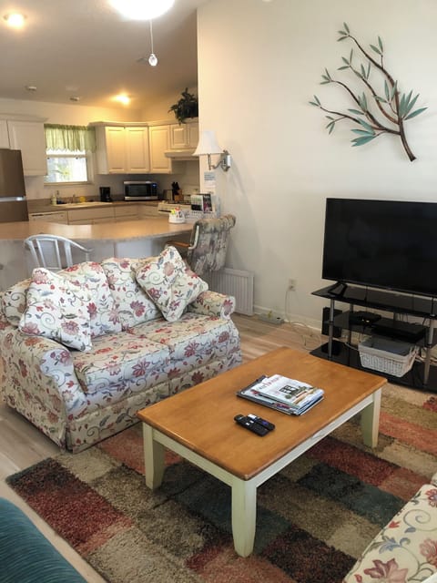 Living Room, Large screen TV