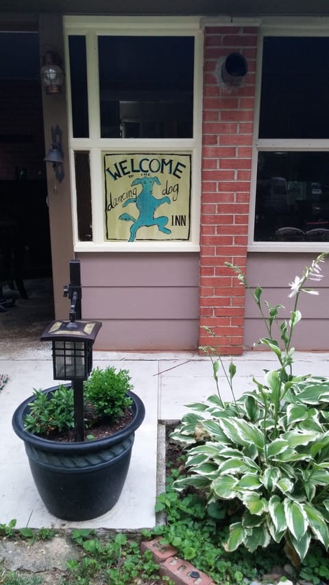 welcome to Dancing Dog!!