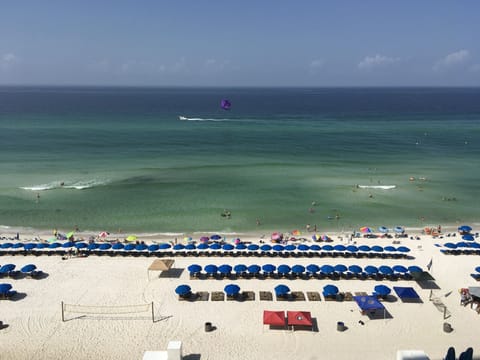 Come watch the dolphins from this breathtaking patio view of the Gulf. 
