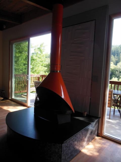 1964 Preway fireplace, 2013 Hearth