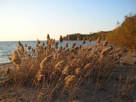 Pelee Island, a place to unwind and reconnect