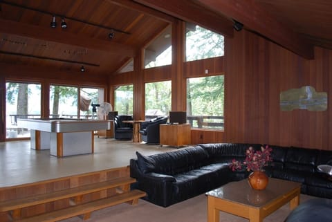 Pool table and den
