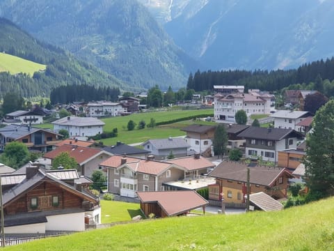 Wildkogel - Apartment Alexandra Apartment in Salzburgerland