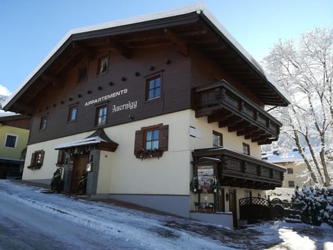 Appartement Auernigg - Apartment/2 bedrooms/shower or bath, WC Apartment in Piesendorf