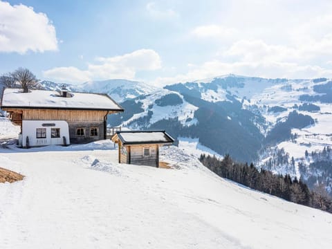 Jausenstation Grammlergut - Apartment / 3 bedrooms / Du od. Bath / WC Apartment in Salzburgerland