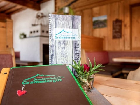 Jausenstation Grammlergut - Apartment / 3 bedrooms / Du od. Bath / WC Apartment in Salzburgerland