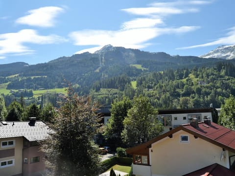 Apartment, shower, toilet, 2 bedrooms - Steiger, apartments Apartment in Bad Hofgastein