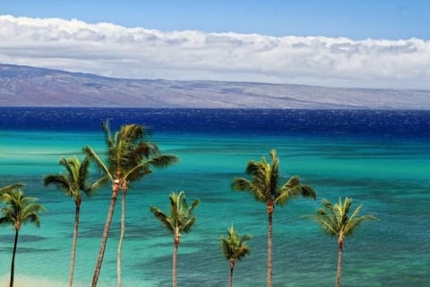 Actual view from the master, lanai, and living room in the unit.