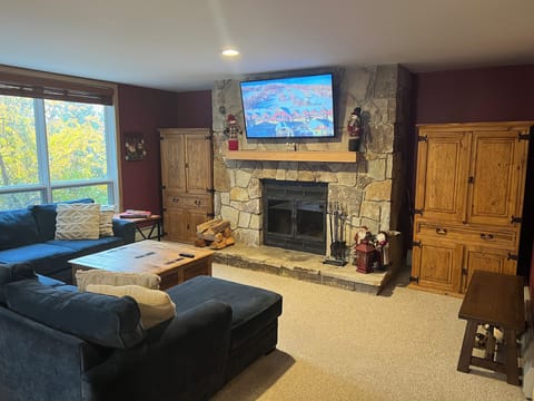 Confortable living room with unlimited supply of firewood and big screen TV
