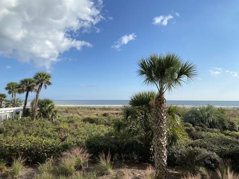 This is your view from 138 Breakers balcony -direct oceanfront