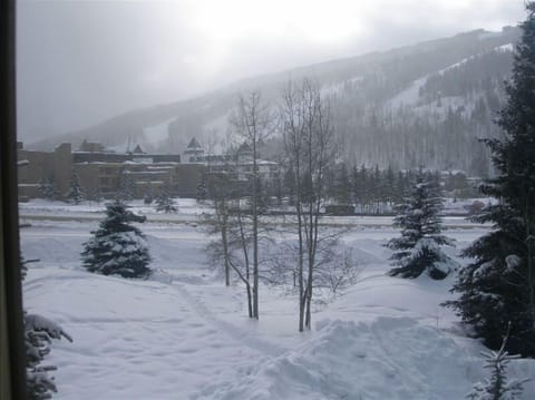 The beautiful winter view from the deck