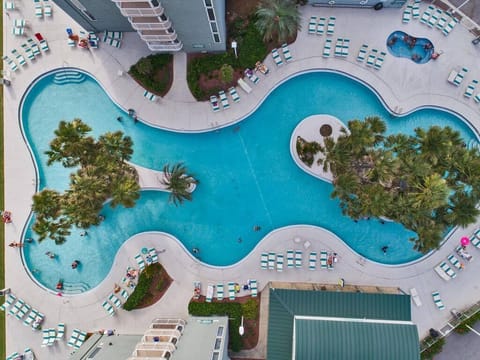 Aerial view of Lagoon Pool