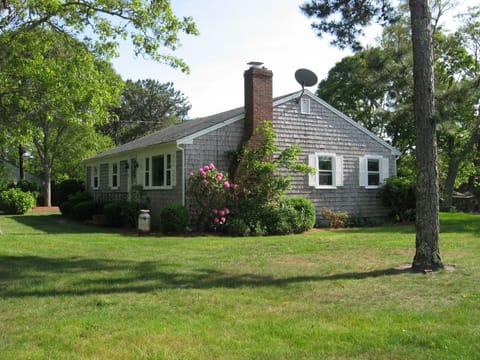 Huge yard!