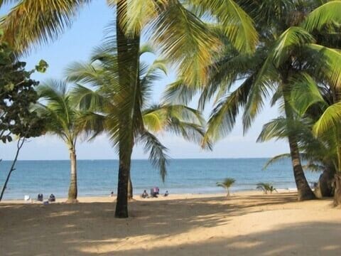 Our beach!! Steps away from our condo!
