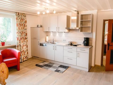 Apartment Maxi = 2 bedrooms / bath, WC - Waldemar Stainer, Haus Michael Apartment in Salzburgerland