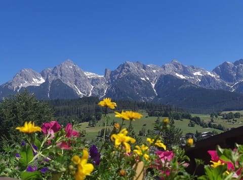 Double room with shower, WC "2 - Haus Heidi Apartment in Maria Alm