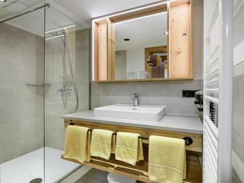 Family room C with shower, WC - Berghotel Hauserbauer House in Salzburgerland