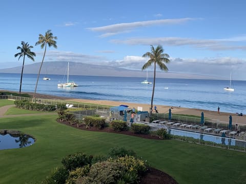 View from Lanai