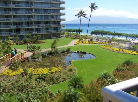 Wonderful new courtyard as seen from our lanai.