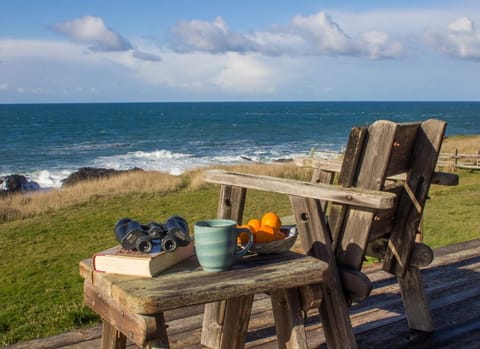 If the whales are out there, this chair on the deck is perfect to whale watch.
