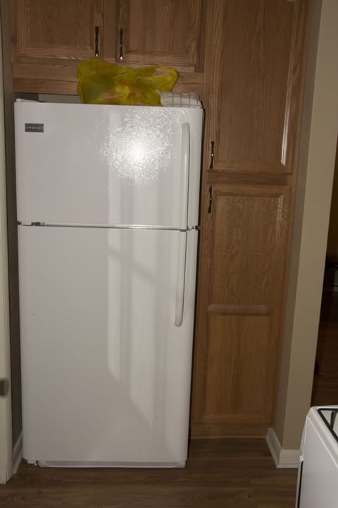 Full size refrigerator and pantry
