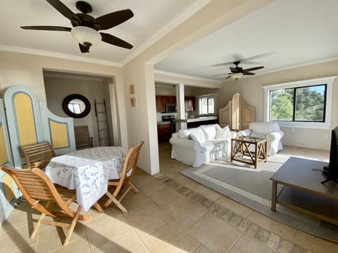 Apartment main living area w/ queen sofabed.