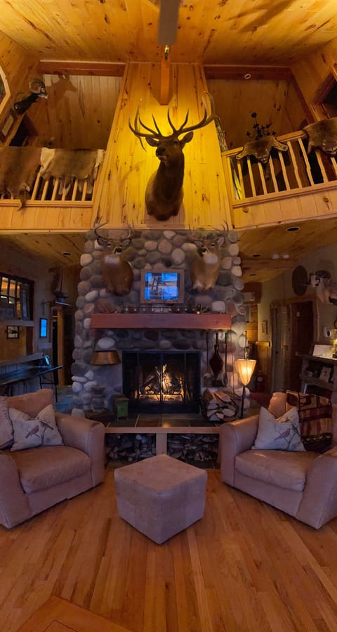 Elk, Truth or Consequences, New Mexico 