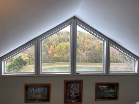 Expansive View from the Upstairs Loft 