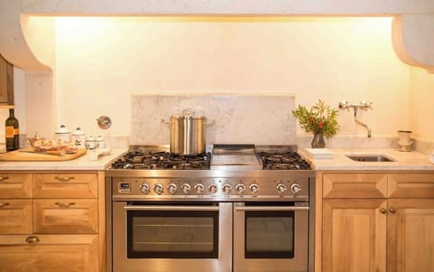 Kitchen_Burners and oven detail