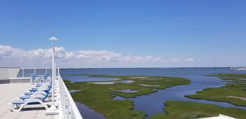 Best views in town!