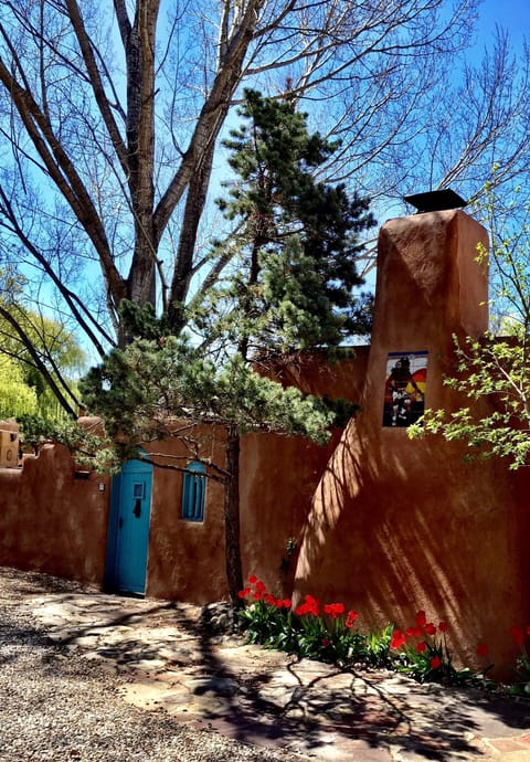 Spring time at Casa Carmelita 