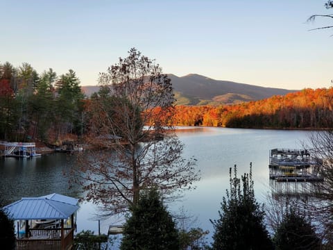 View of the lake