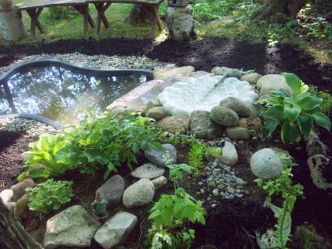 Pond - Residence of Goldie and Nemo