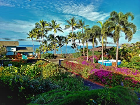 Amazing Ocean Front View, Wake up to the sounds of the Ocean and Birds.