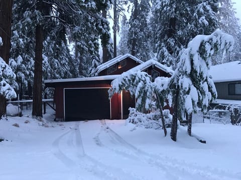 Snow right after Thanksgiving 2016!