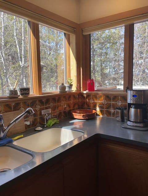 Kitchen View of Yard