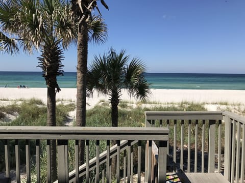 Your View!